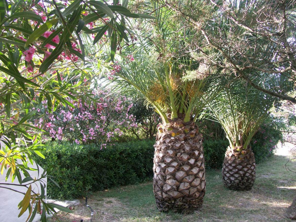 Apartamento Locanda del Pescatore Palmadula Exterior foto